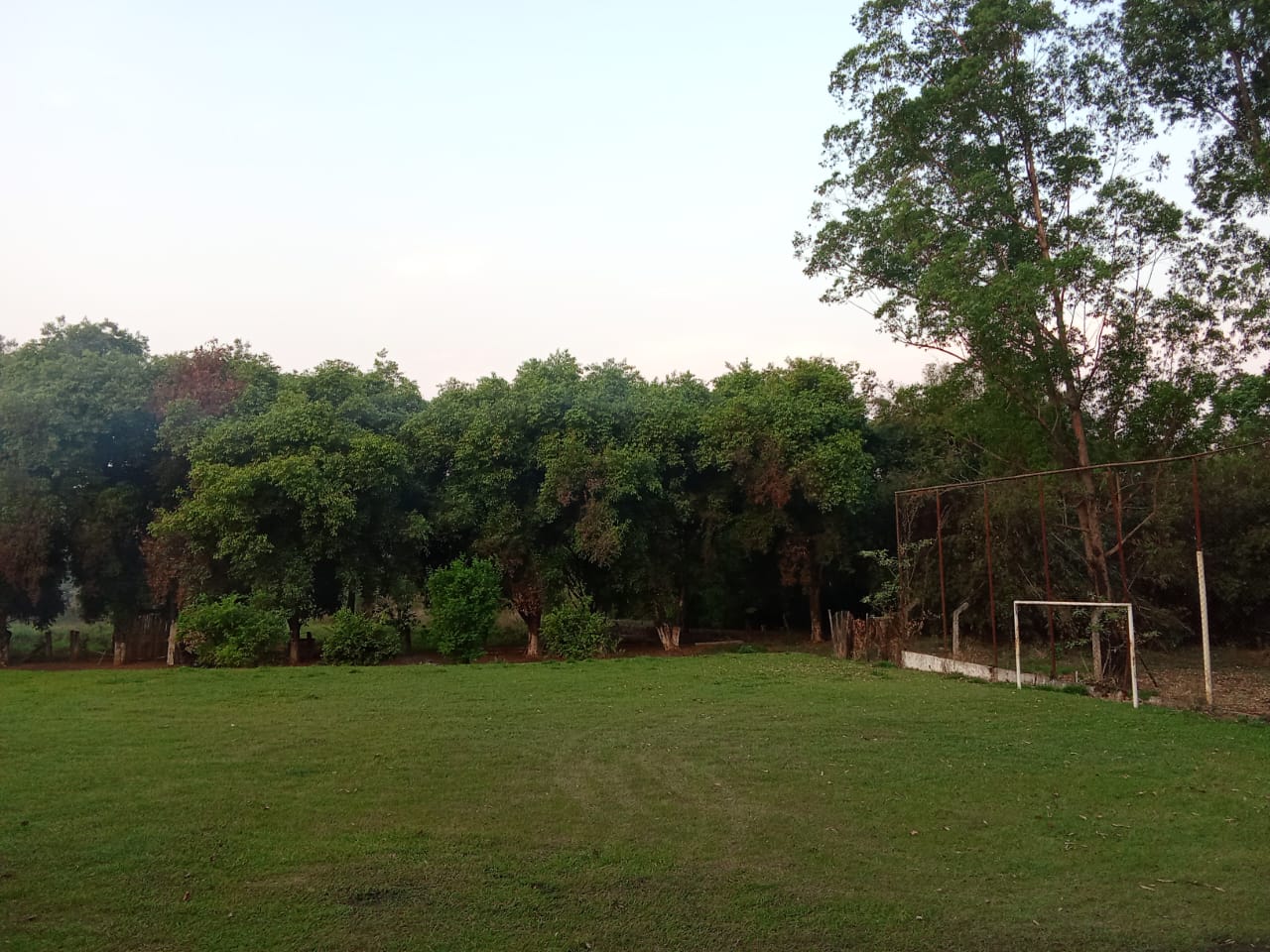 Imagem 10